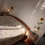 Dajana *
